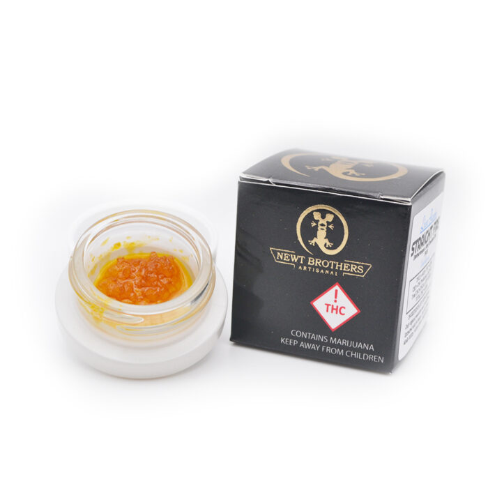 product_a45e8823-87f3-4b84-80e9-302c34b8225c Newt Brothers Axolotl Live Resin Sativa Electric Avenue 1g - Image 1