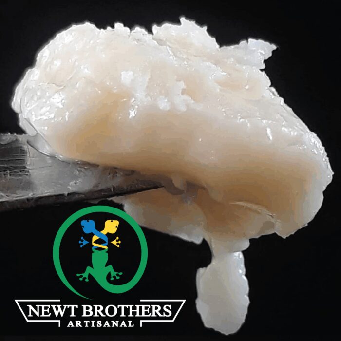 Newt Brothers Unfiltered Live Badder Sativa Synergy 1g - Image 1