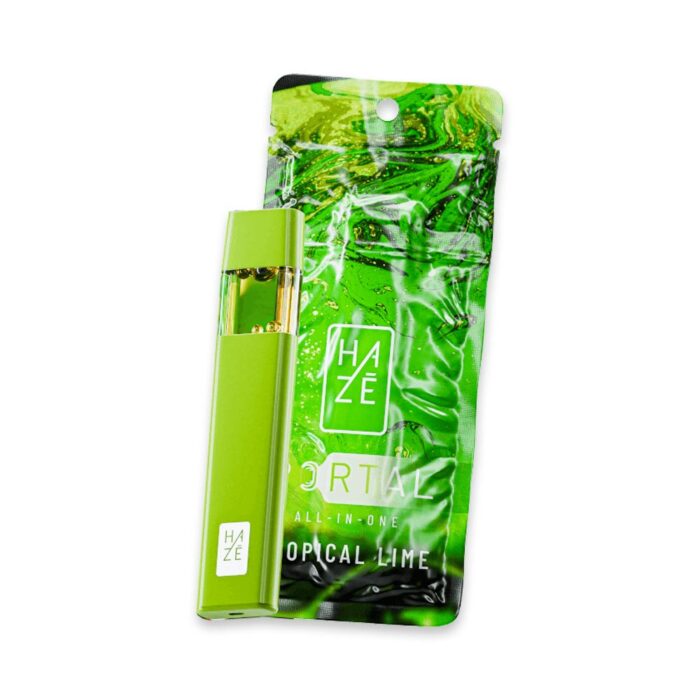 product_0104e9be-4fac-487e-8138-48414d311bd3 Haze Portal Disposable Key Lime Pie 1g - Image 1
