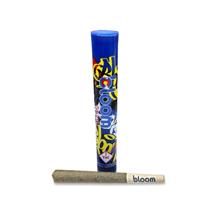 Bloom Pre-Roll Indica Purple Garlic 1g - Image 1