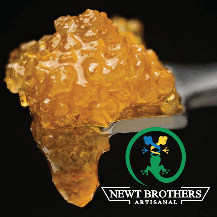 Newt Brothers Unfiltered Live Resin Sativa Electric Pineapple 1g - Image 1